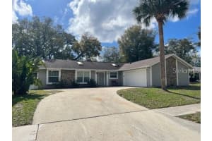 2836 PADDOCK DRIVE, PALM HARBOR, FL 34684 - MLS#MFRTB8485064