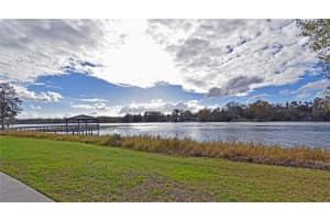 4077 DOLPHIN DRIVE, TAMPA, FL 33617 - MLS#MFRTB8485070