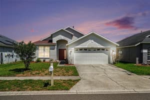 30631 NICKERSON LOOP, WESLEY CHAPEL, FL 33543 - MLS#MFRTB8485076