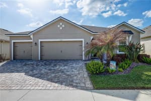 1014 NIGHT SONG STREET, VALRICO, FL 33594 - MLS#MFRTB8485080