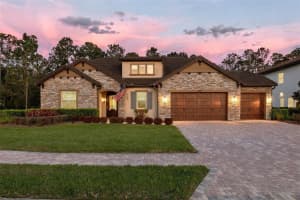 29256 Picana Ln, WESLEY CHAPEL