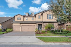 10407 TREE SKYLARK PLACE, RIVERVIEW, FL 33569 - MLS#MFRTB8485106