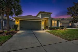 11431 Coventry Grove Cir, LITHIA