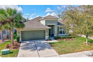 11431 COVENTRY GROVE CIRCLE, LITHIA, FL 33547 - MLS#MFRTB8485123