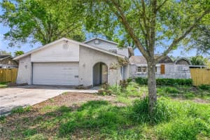 6734 TWELVE OAKS BOULEVARD, TAMPA, FL 33634 - MLS#MFRTB8485124