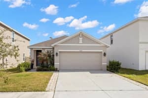 31130 Penny Surf Loop, WESLEY CHAPEL