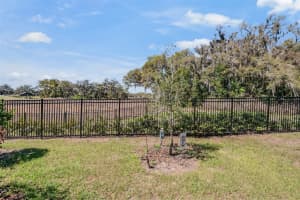 6787 RIPPLE POND LOOP, ZEPHYRHILLS, FL 33541 - MLS#MFRTB8485133