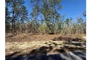 Lot 5 130 COURT, DUNNELLON, FL 34431 - MLS#MFRTB8485155