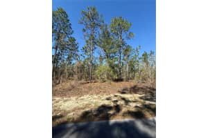 Lot 5 130 COURT, DUNNELLON, FL 34431 - MLS#MFRTB8485155