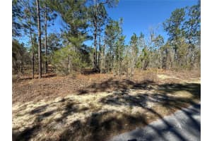 Lot 5 130 COURT, DUNNELLON, FL 34431 - MLS#MFRTB8485155
