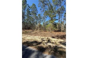 Lot 5 130 COURT, DUNNELLON, FL 34431 - MLS#MFRTB8485155