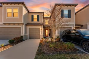 31607 BLUE PASSING LOOP, WESLEY CHAPEL, FL 33545 - MLS#MFRTB8485158