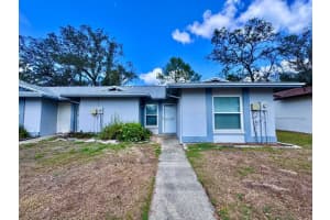 5124 GAINSVILLE DRIVE, TEMPLE TERRACE, FL 33617 - MLS#MFRTB8485165