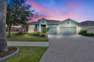 11718 Lake Lucaya Dr, RIVERVIEW