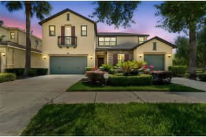 2601 Milford Berry Ln, TAMPA