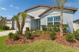 30155 MERILEE PLACE, WESLEY CHAPEL, FL 33545 - MLS#MFRTB8485186