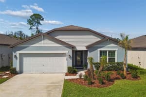 30155 MERILEE PLACE, WESLEY CHAPEL, FL 33545 - MLS#MFRTB8485186