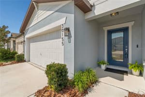 30155 MERILEE PLACE, WESLEY CHAPEL, FL 33545 - MLS#MFRTB8485186