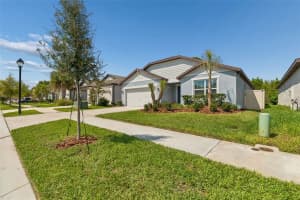 30155 MERILEE PLACE, WESLEY CHAPEL, FL 33545 - MLS#MFRTB8485186