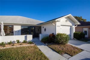 3297 Gorse Ct, PALM HARBOR