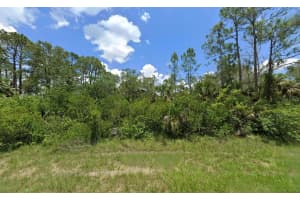 1933 RODERICK LANE, LEHIGH ACRES, FL 33972 - MLS#MFRTB8485214
