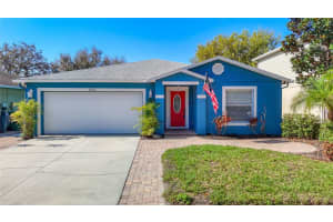 14034 NOBLE PARK DRIVE, ODESSA, FL 33556 - MLS#MFRTB8485239