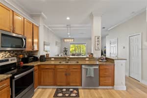 1461 RIDGE TERRACE, TARPON SPRINGS, FL 34689 - MLS#MFRTB8485246