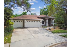 160 SAGE CIRCLE, CRYSTAL BEACH, FL 34681 - MLS#MFRTB8485252