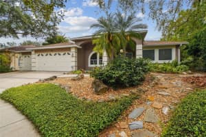 160 SAGE CIRCLE, CRYSTAL BEACH, FL 34681 - MLS#MFRTB8485252