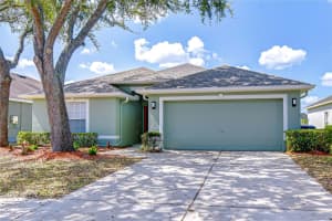 6029 Sweet William Ter, LAND O LAKES