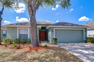 6029 SWEET WILLIAM TERRACE, LAND O LAKES, FL 34639 - MLS#MFRTB8485286