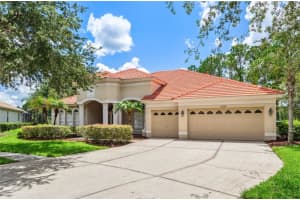 10222 ARBOR SIDE DRIVE, TAMPA, FL 33647 - MLS#MFRTB8485287