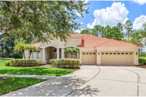 10222 ARBOR SIDE DRIVE, TAMPA, FL 33647 - MLS#MFRTB8485287