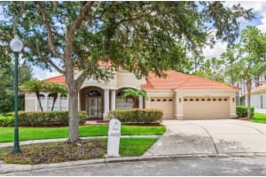 10222 ARBOR SIDE DRIVE, TAMPA, FL 33647 - MLS#MFRTB8485287