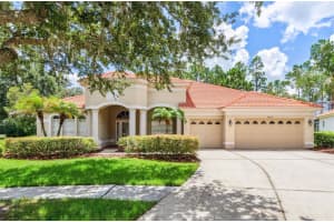 10222 ARBOR SIDE DRIVE, TAMPA, FL 33647 - MLS#MFRTB8485287