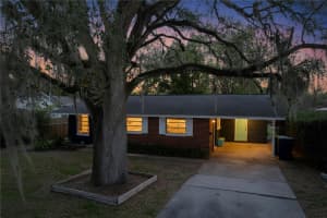 1415 IDLEWILD AVENUE, TAMPA, FL 33604 - MLS#MFRTB8485290