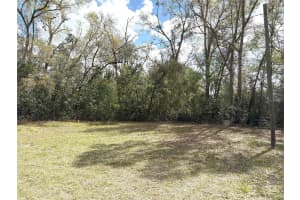 21249 DURDEN ROAD, DADE CITY, FL 33523 - MLS#MFRTB8485304