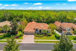 1560 CANOPY OAKS BOULEVARD, PALM HARBOR, FL 34683 - MLS#MFRTB8485340