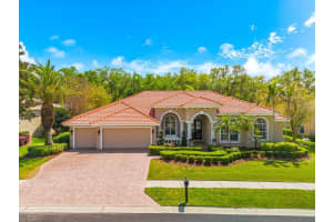 1560 CANOPY OAKS BOULEVARD, PALM HARBOR, FL 34683 - MLS#MFRTB8485340