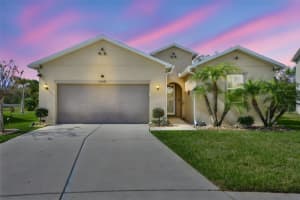 10567 LAGUNA PLAINS DRIVE, RIVERVIEW, FL 33578 - MLS#MFRTB8485346