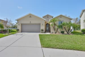 10567 LAGUNA PLAINS DRIVE, RIVERVIEW, FL 33578 - MLS#MFRTB8485346