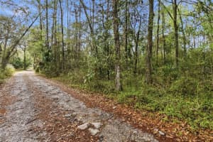 0 CHISHOLM STREET, BROOKSVILLE, FL 34601 - MLS#MFRTB8485367