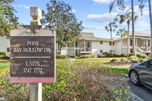 29300 BAY HOLLOW DRIVE, WESLEY CHAPEL, FL 33543 - MLS#MFRTB8485371
