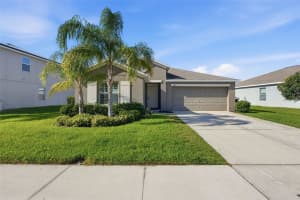 16902 PEACEFUL VALLEY DRIVE, WIMAUMA, FL 33598 - MLS#MFRTB8485384