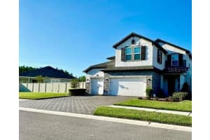 1049 MULTIFLORA LOOP, LUTZ, FL 33558 - MLS#MFRTB8485451