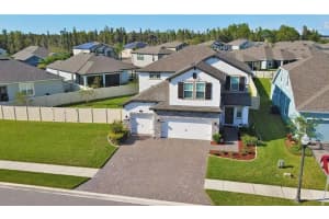 1049 MULTIFLORA LOOP, LUTZ, FL 33558 - MLS#MFRTB8485451