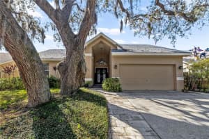 4791 Klosterman Oaks Blvd, PALM HARBOR 4791 Klosterman Oaks Blvd, PALM HARBOR