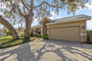 4791 KLOSTERMAN OAKS BOULEVARD, PALM HARBOR, FL 34683 - MLS#MFRTB8485464