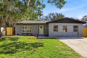 10217 PAWNEE AVENUE, TAMPA, FL 33617 - MLS#MFRTB8485474