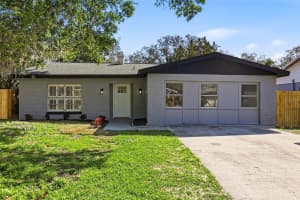 10217 PAWNEE AVENUE, TAMPA, FL 33617 - MLS#MFRTB8485474